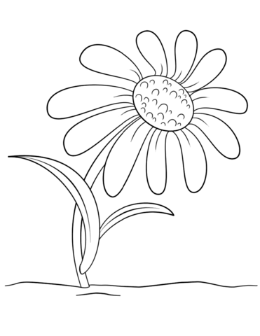 Cartoon Daisy Flower Coloring Page